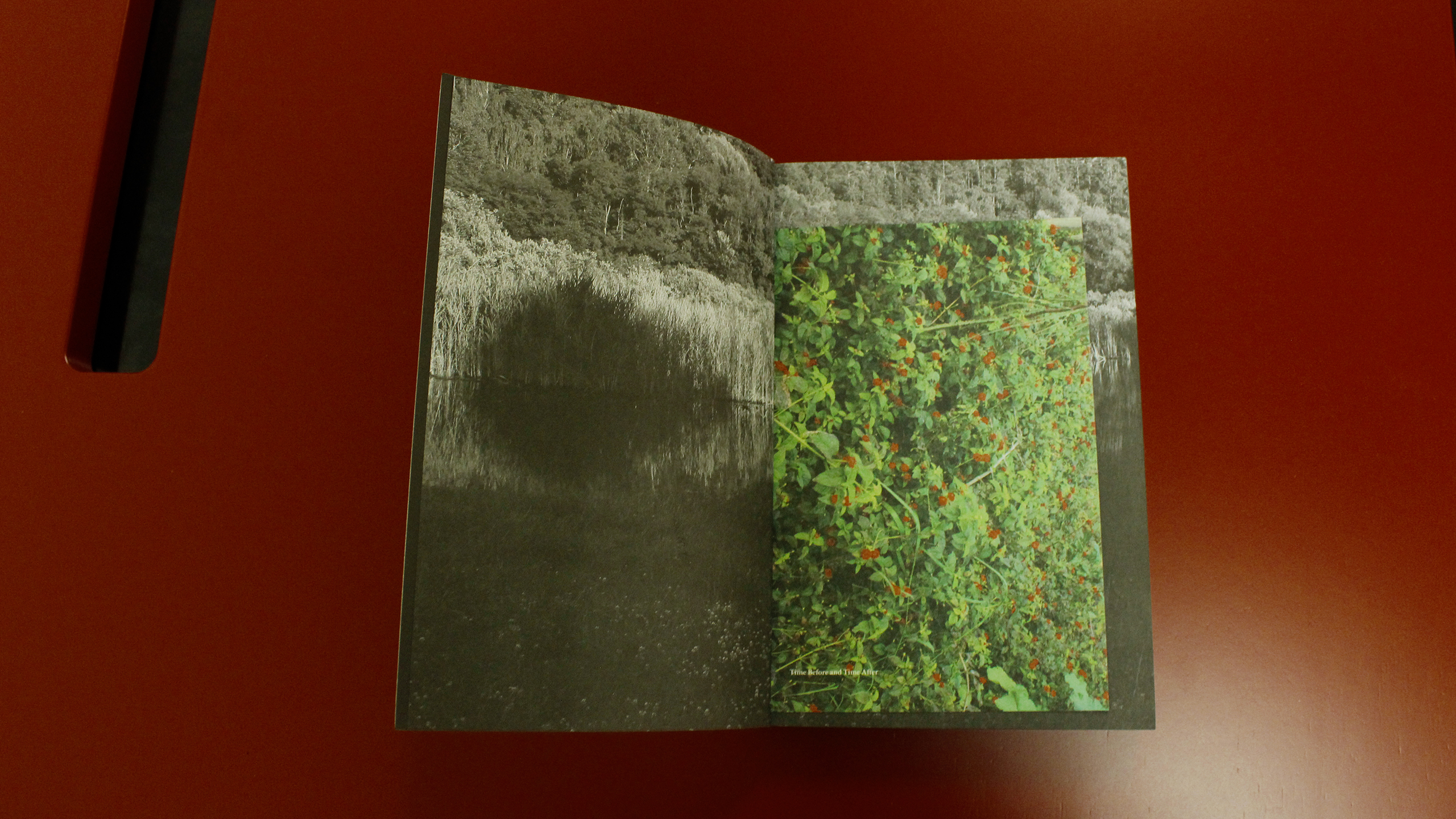 Time Before and Time After ~ Diary 2021 ~ Christos Lialios and Katerina Vazoura