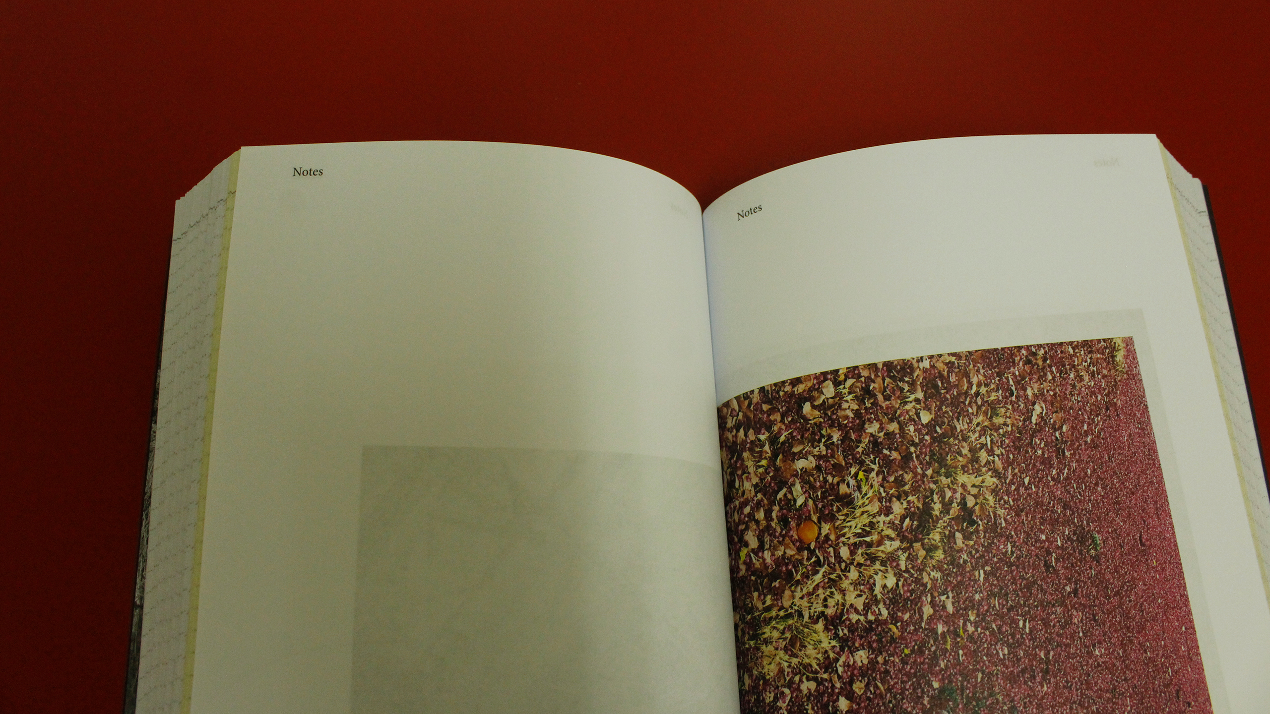 Time Before and Time After ~ Diary 2021 ~ Christos Lialios and Katerina Vazoura