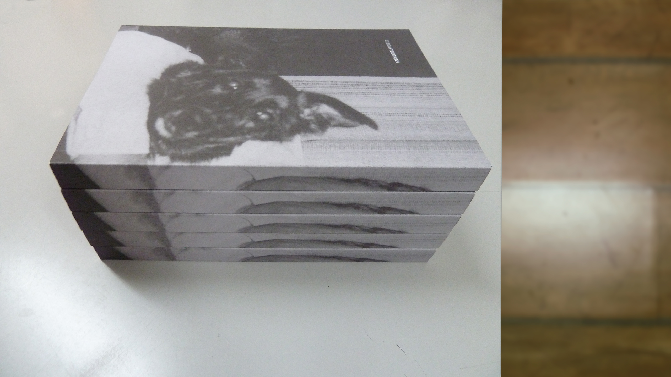 Ishavsgast ~ Hilde Aagaard