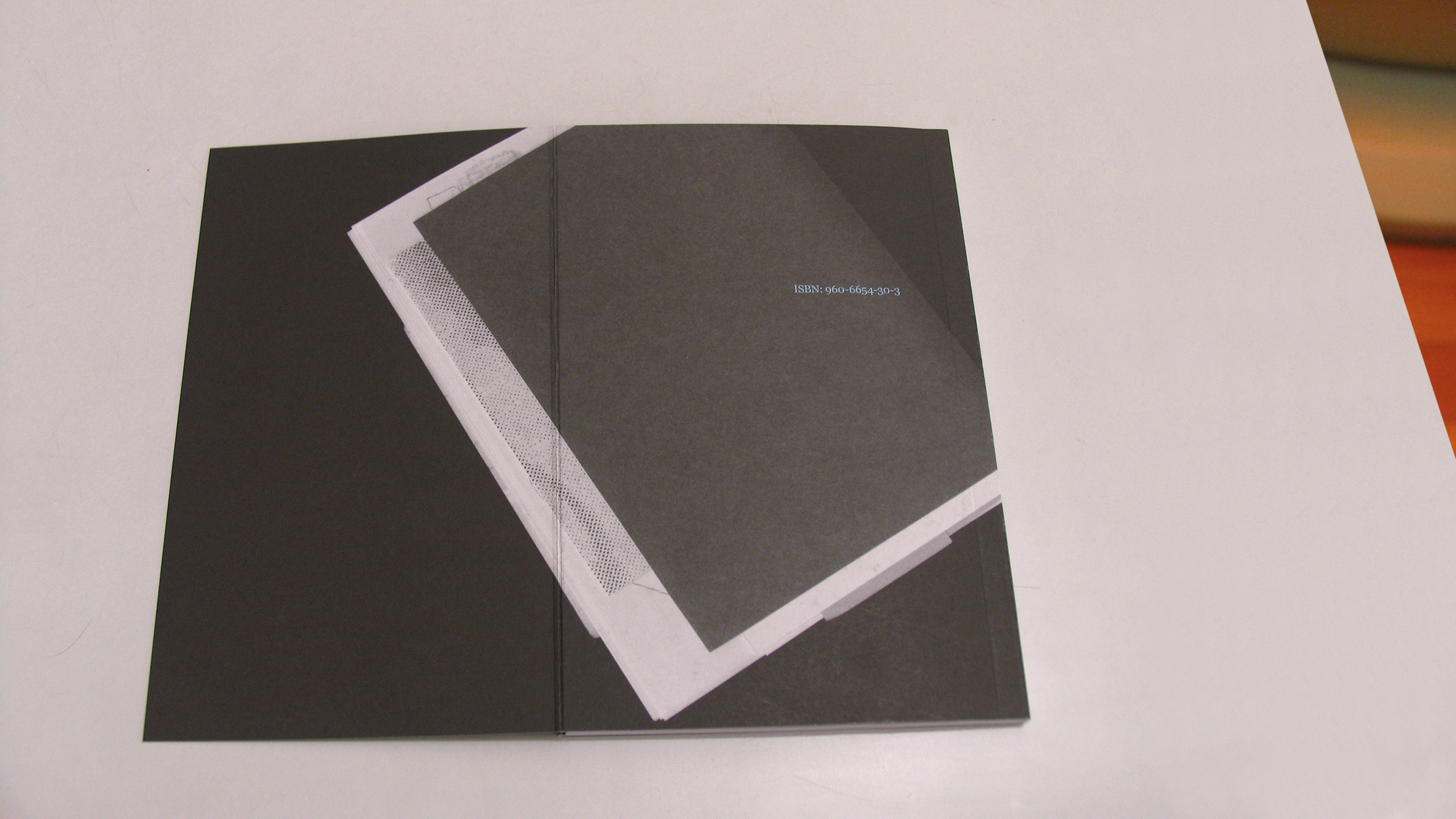 Suggestions for the Destruction of Athens – A Handbook ~ 1st Athens Biennale 2007