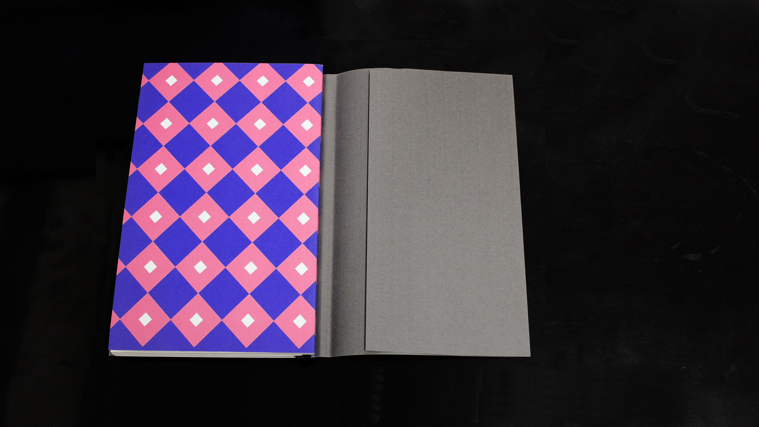 A Disturbance of Memory ~ Freud on Holiday – Volume II ~ Sharon Kivland