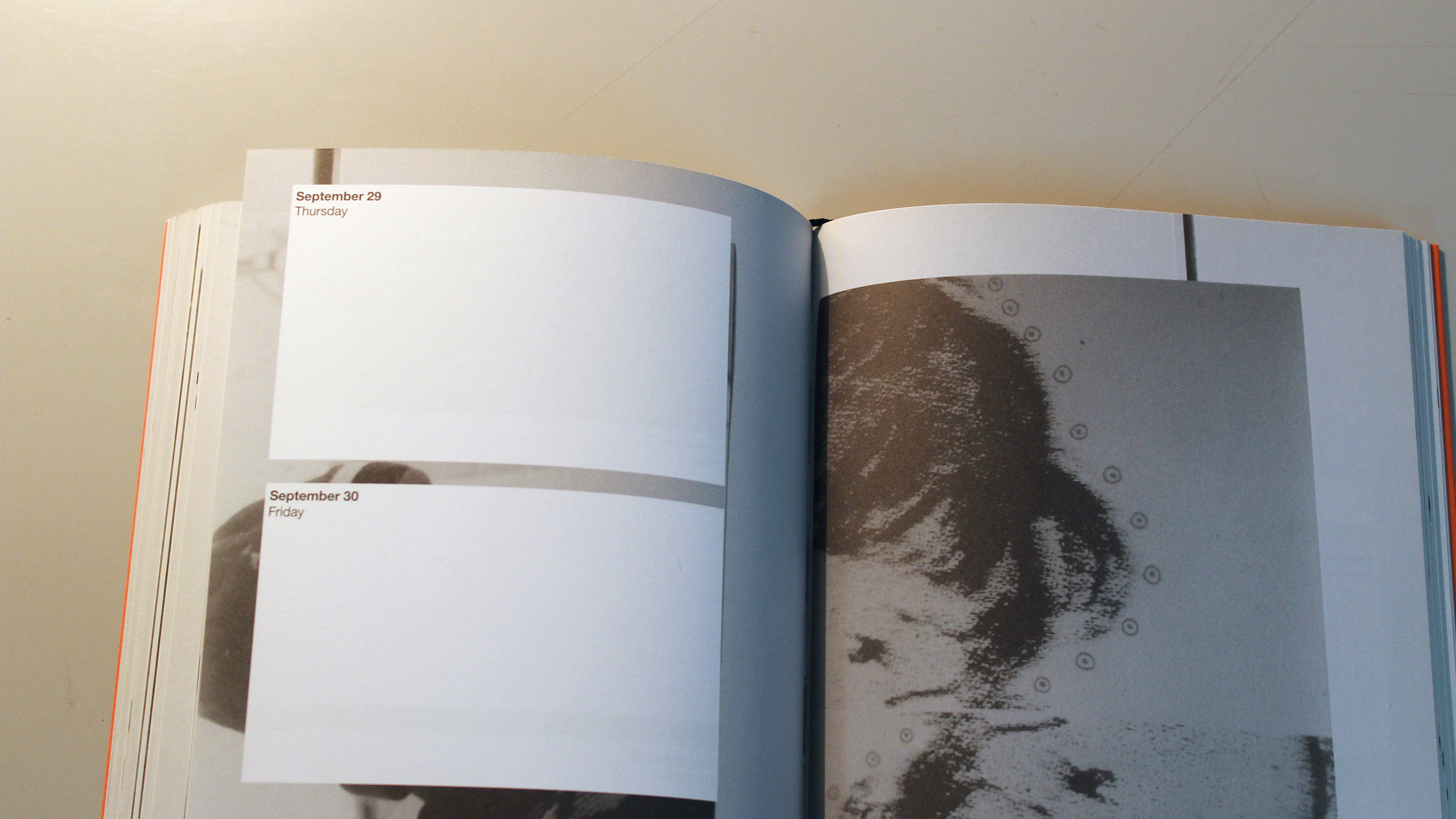 Crumbling Antiseptic Beauty ~ Diary 2011 ~ Christos Lialios