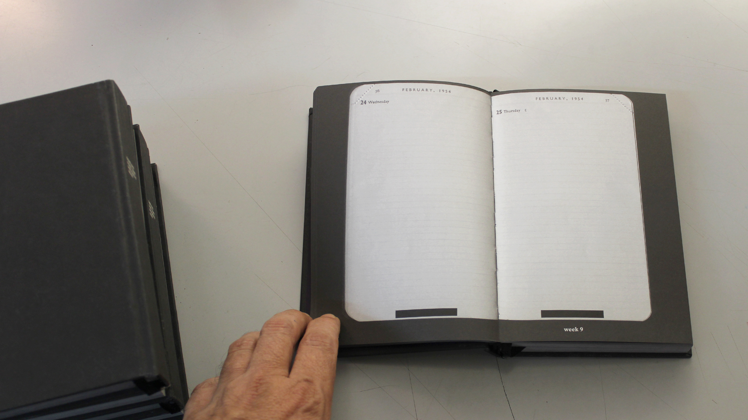 Same Day, Same Time, Different Moon ~ Diary 2010 ~ Christos Lialios