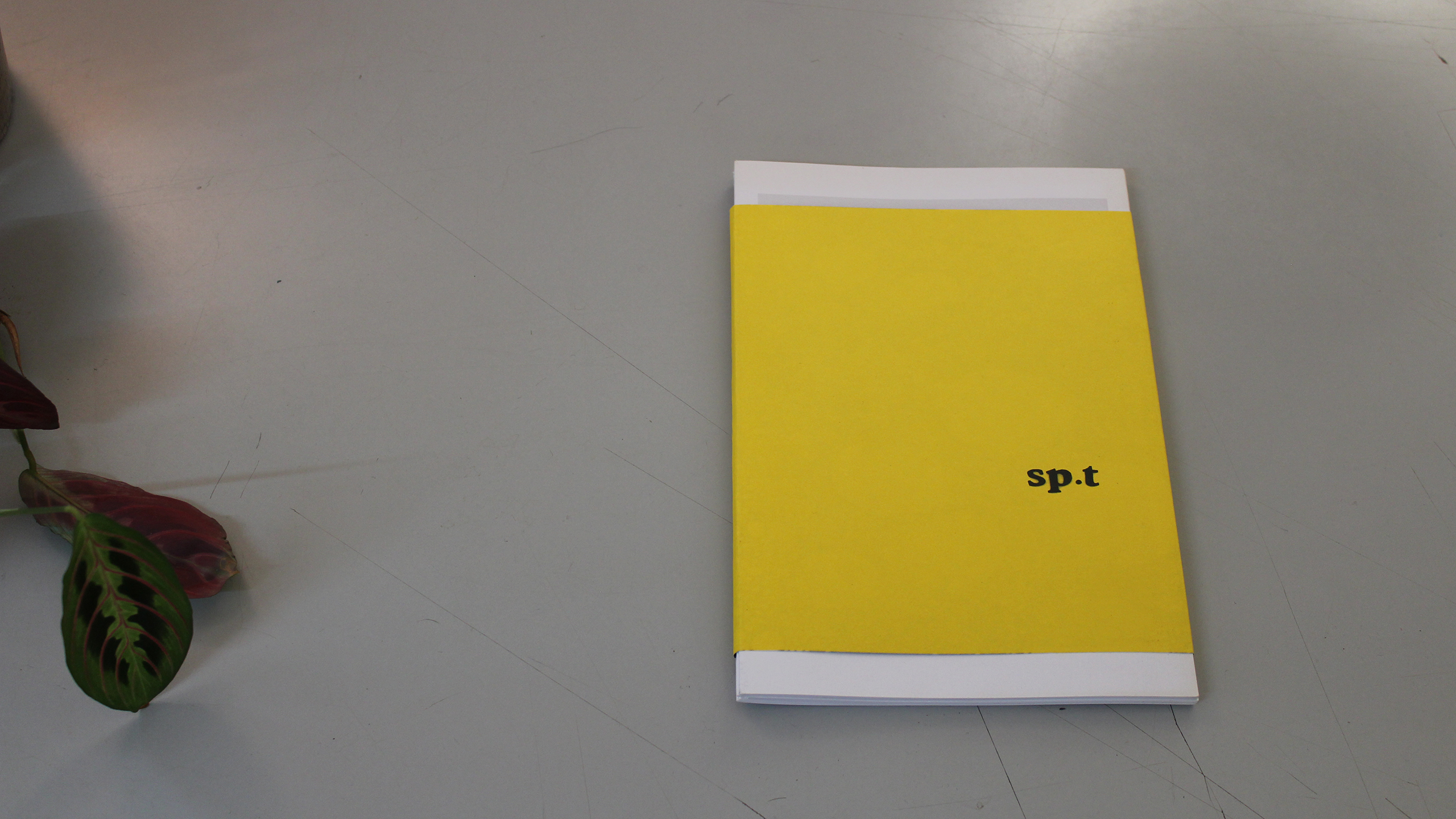 Spot #2 – Local Identities ~ Stefanos Tsivopoulos