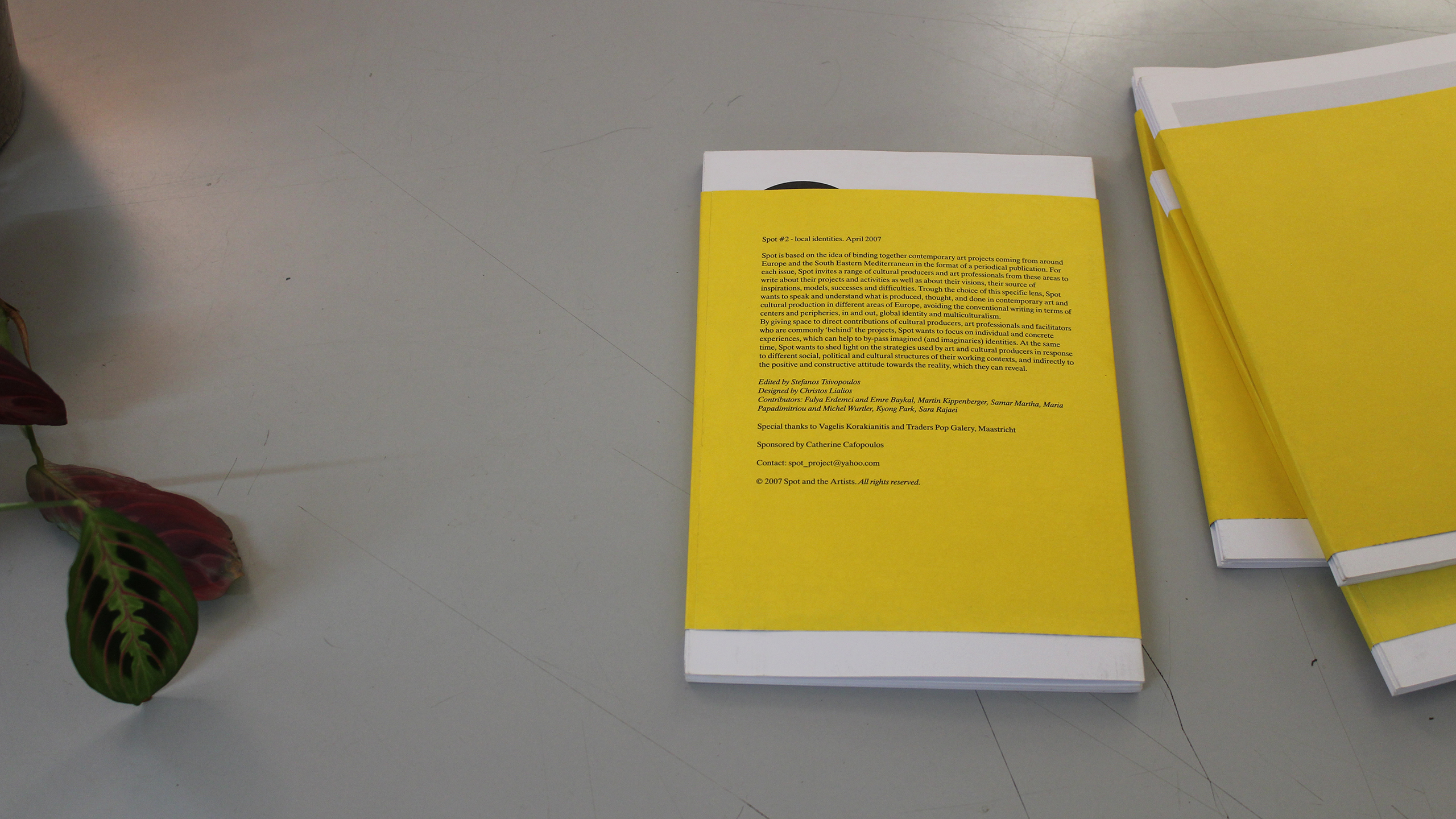 Spot #2 – Local Identities ~ Stefanos Tsivopoulos