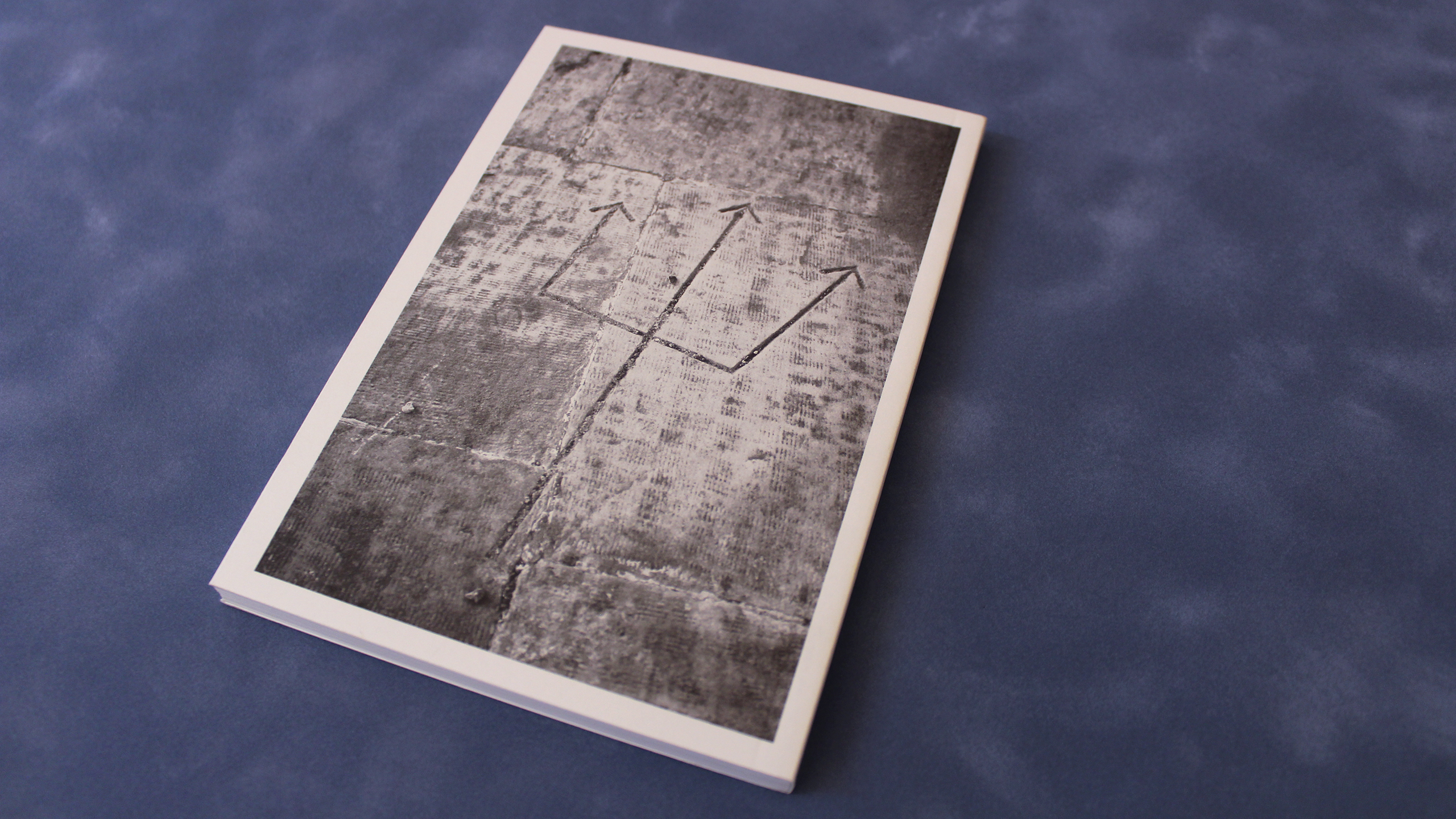 At the Hotel Xenia in Andros 2001–2012 [An Archive Opens] ~ Lizzie Calligas