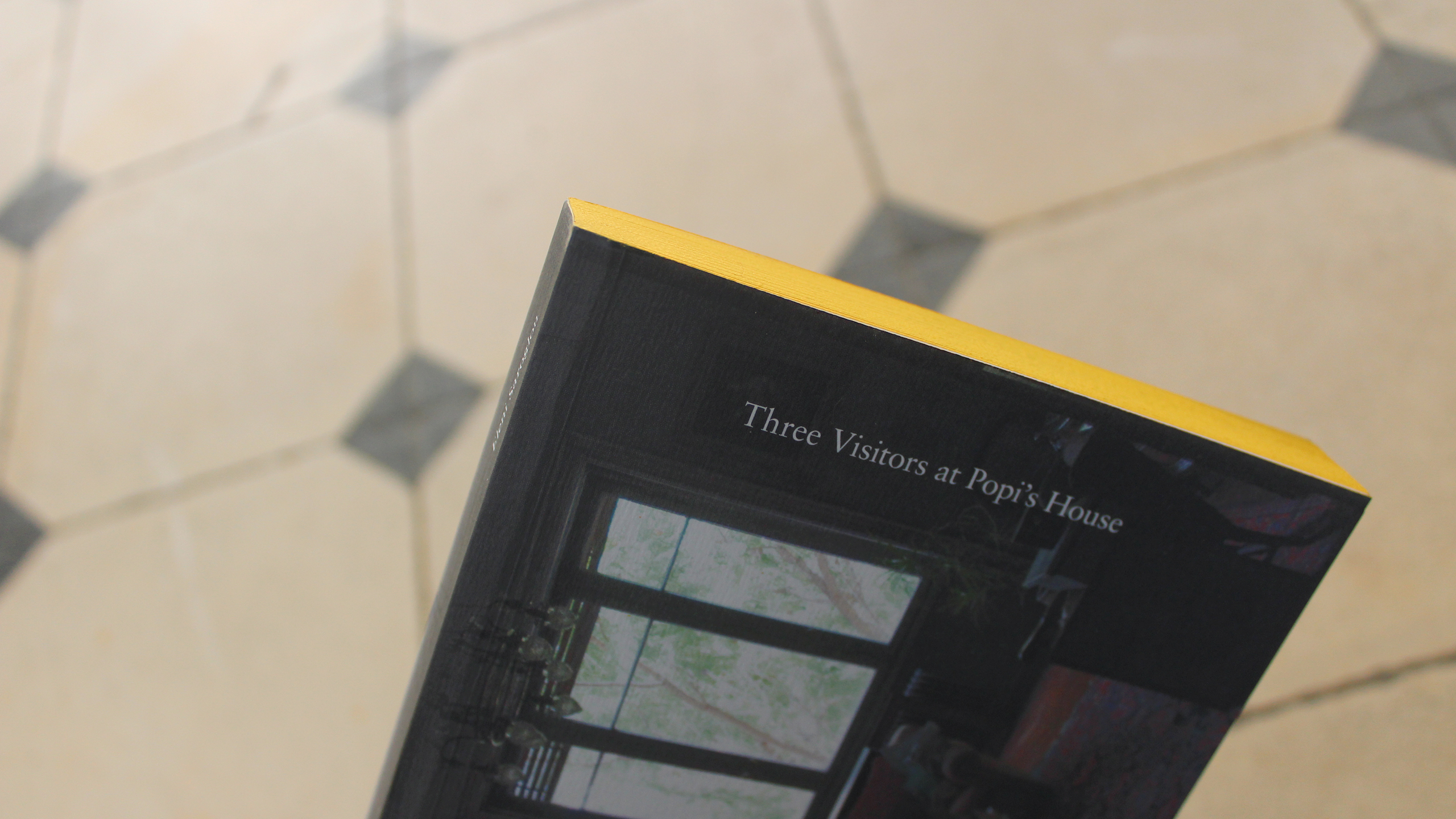 Three Visitors at Popi’s House ~ Eleni Saroglou