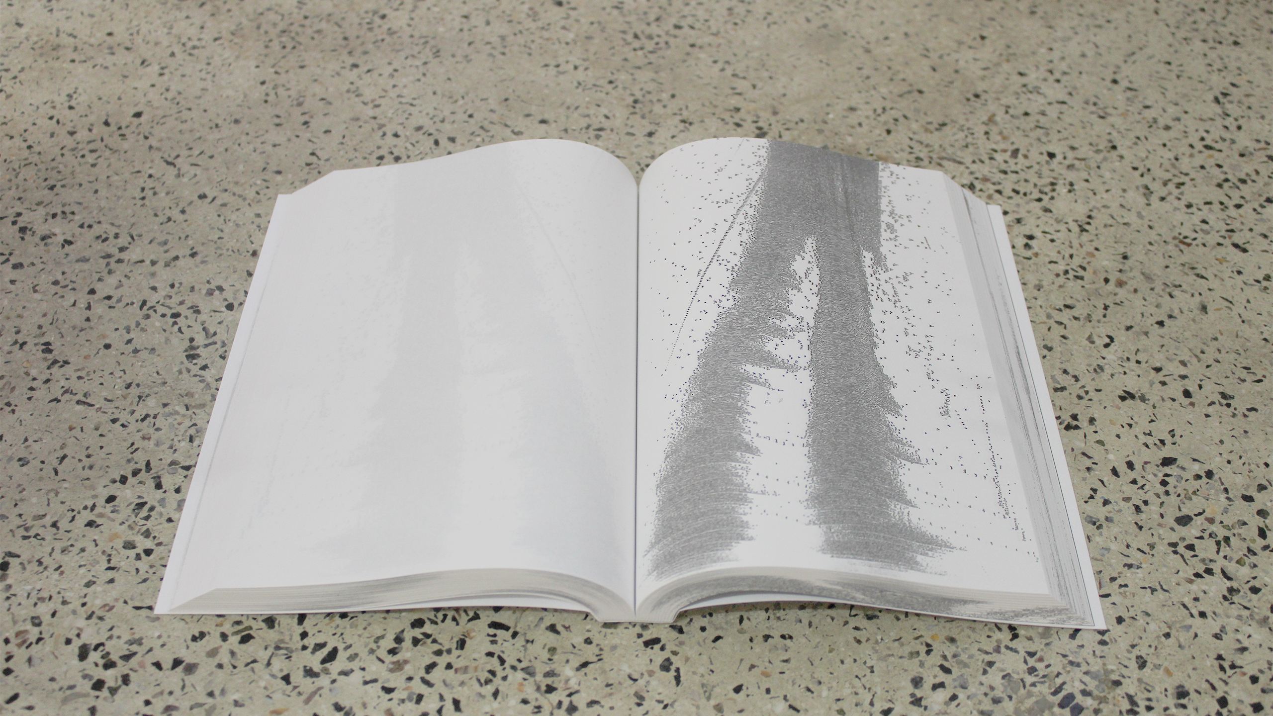 Every Next Day ~ Diary 2023 ~ Christos Lialios and Katerina Vazoura