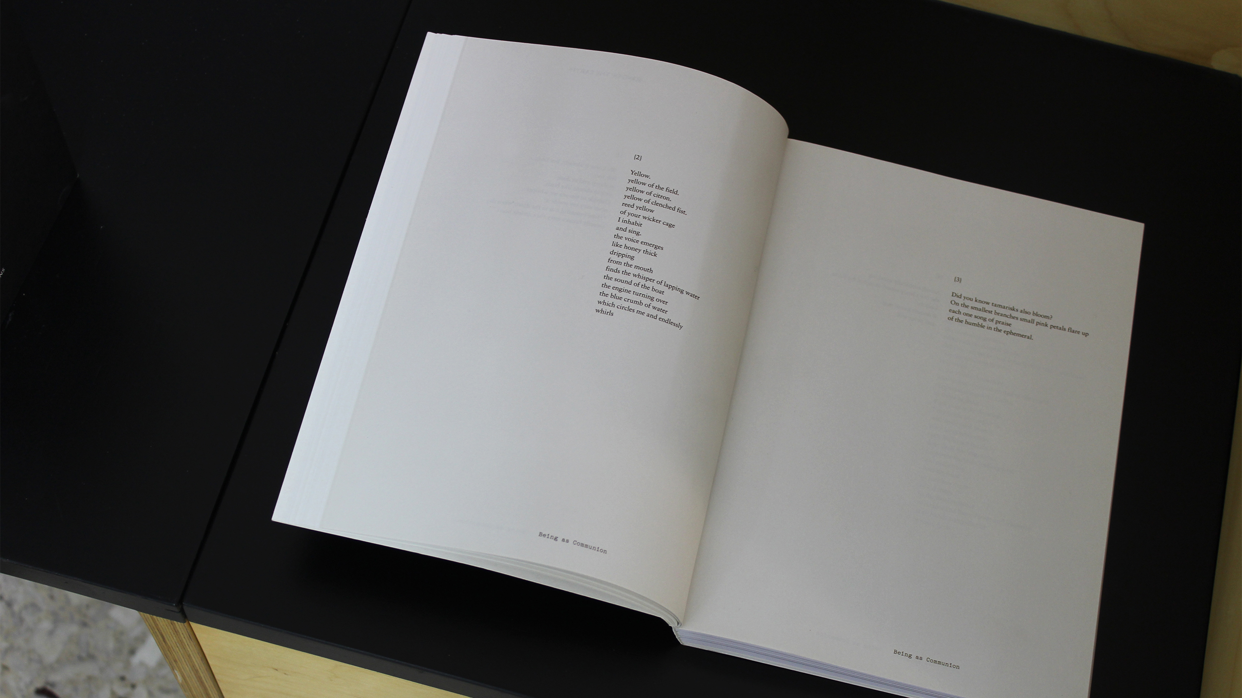 Being as Communion ~ 8th Thessaloniki Biennial of Contemporary Art