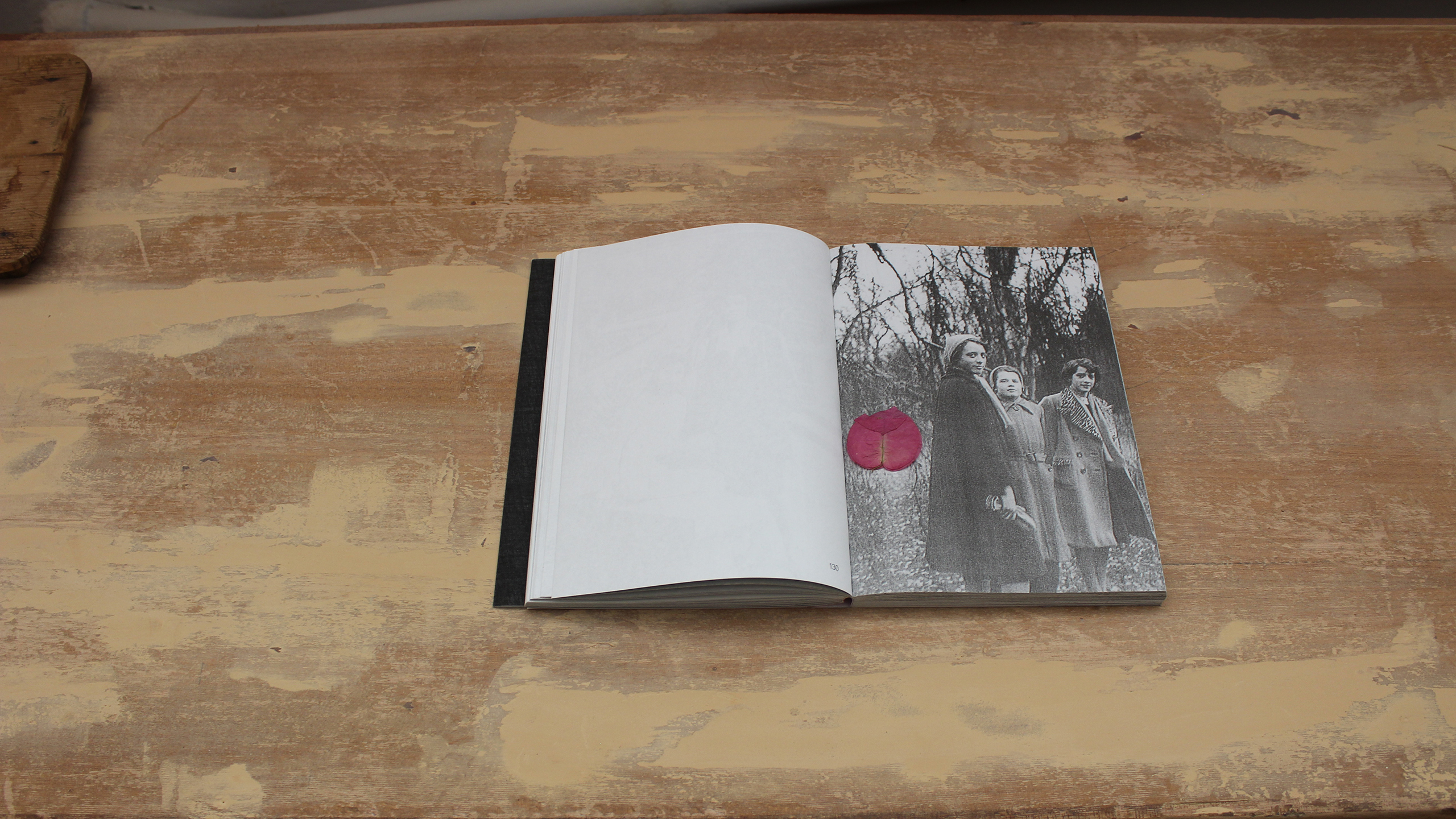 Lost Bird ~ Christos Lialios and Katerina Vazoura
