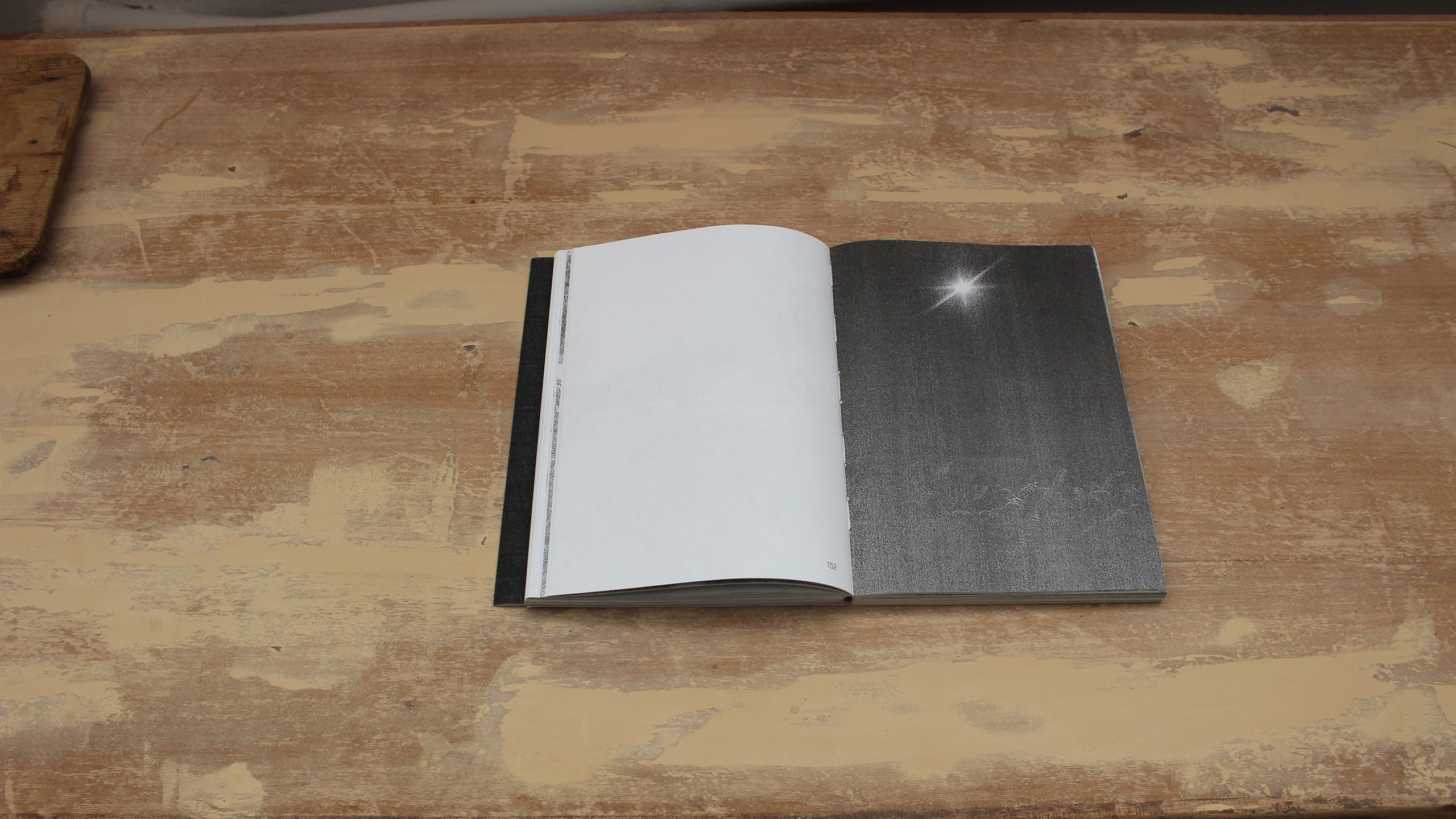Lost Bird ~ Christos Lialios and Katerina Vazoura