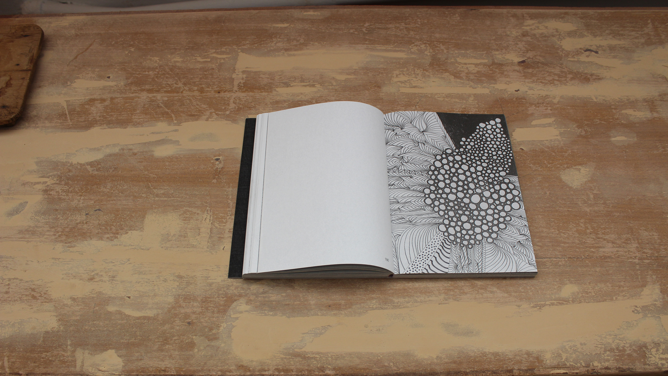 Lost Bird ~ Christos Lialios and Katerina Vazoura