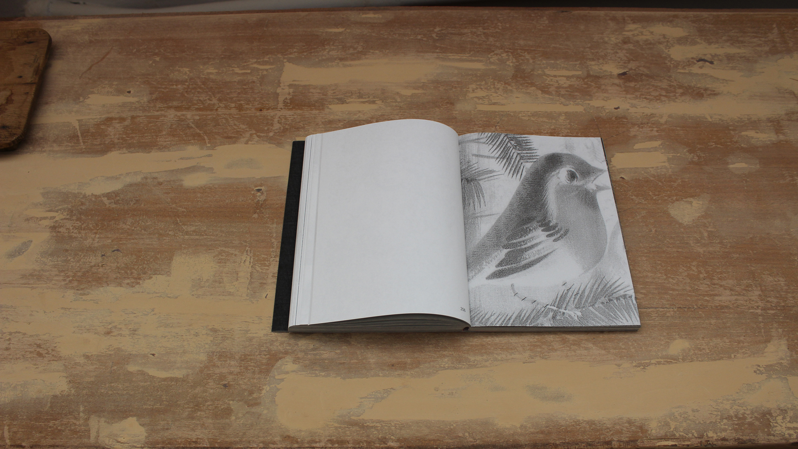 Lost Bird ~ Christos Lialios and Katerina Vazoura