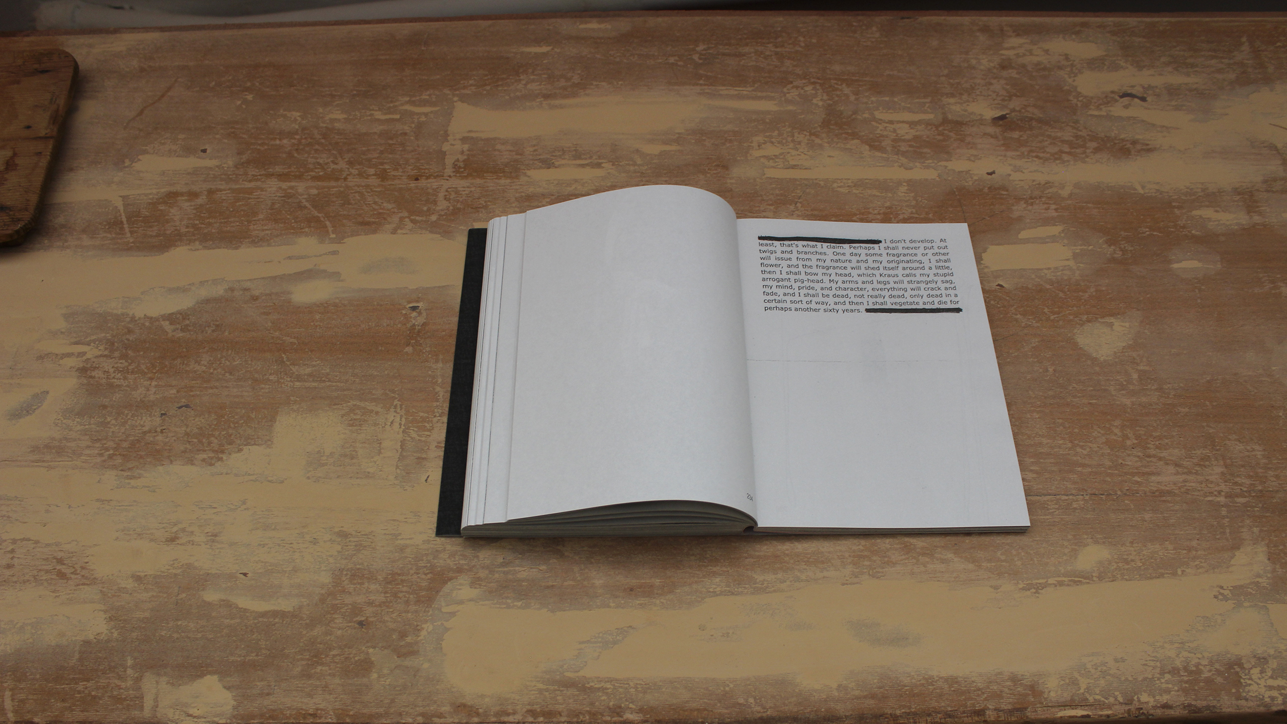 Lost Bird ~ Christos Lialios and Katerina Vazoura