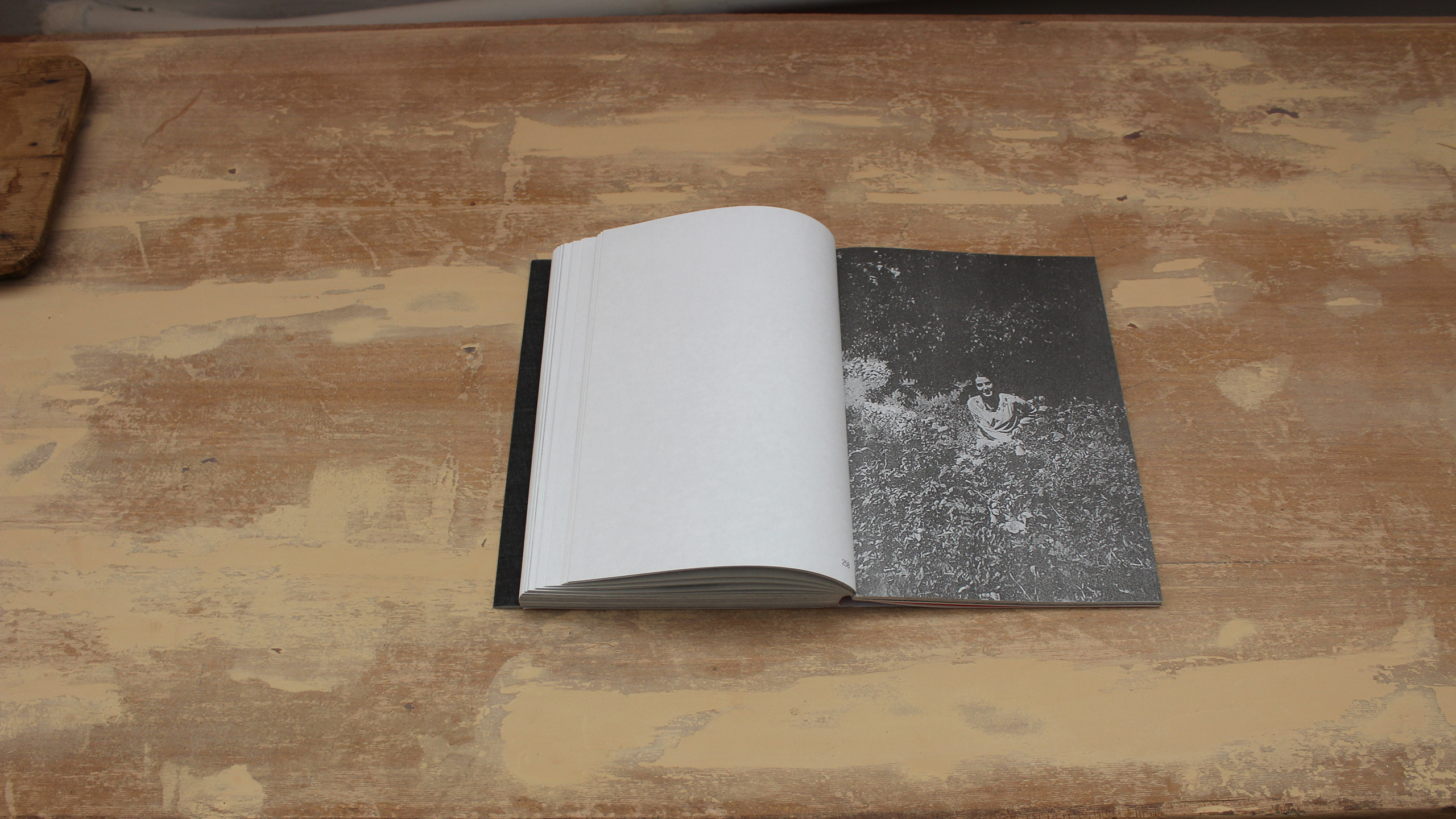 Lost Bird ~ Christos Lialios and Katerina Vazoura
