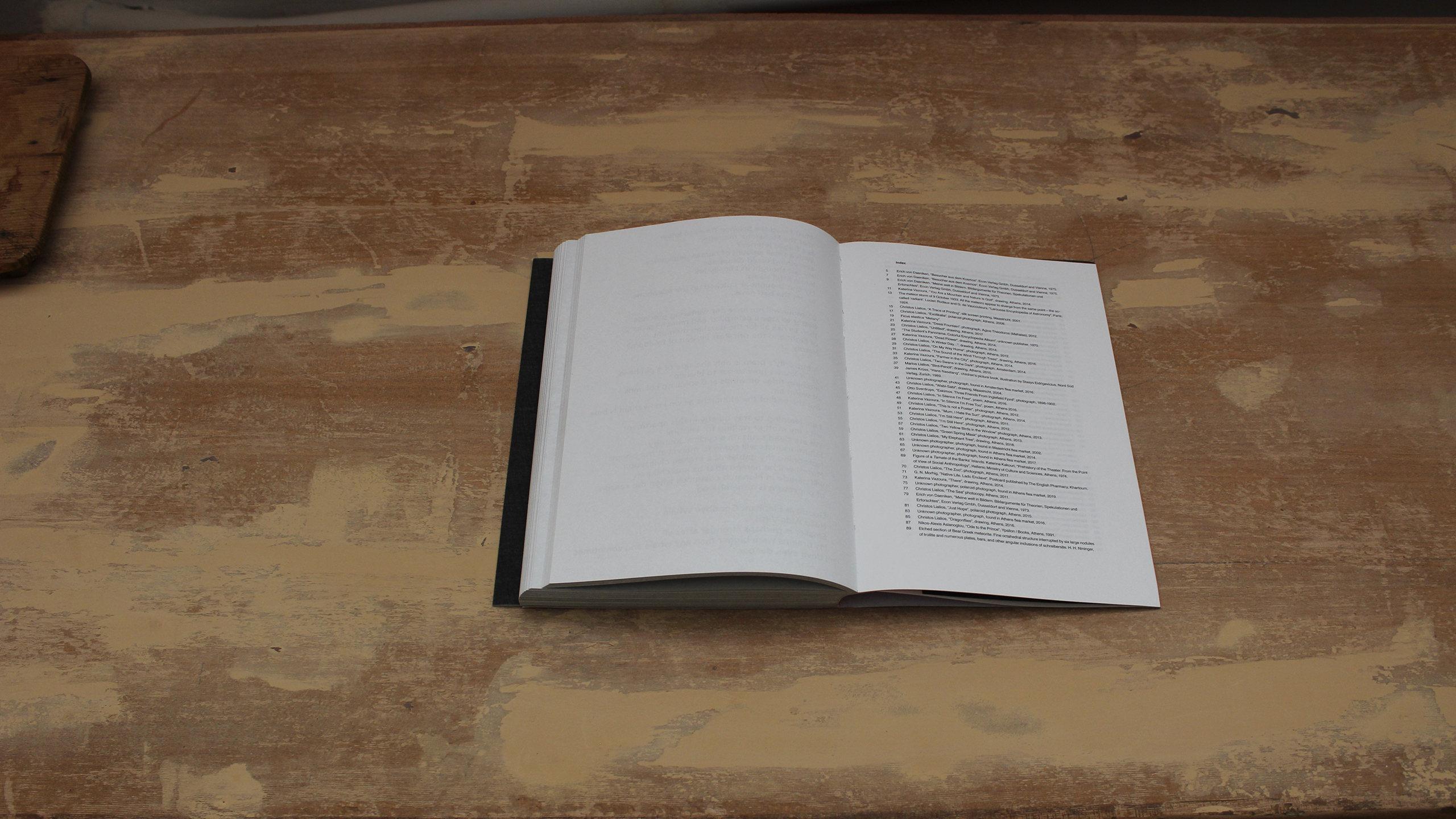 Lost Bird ~ Christos Lialios and Katerina Vazoura