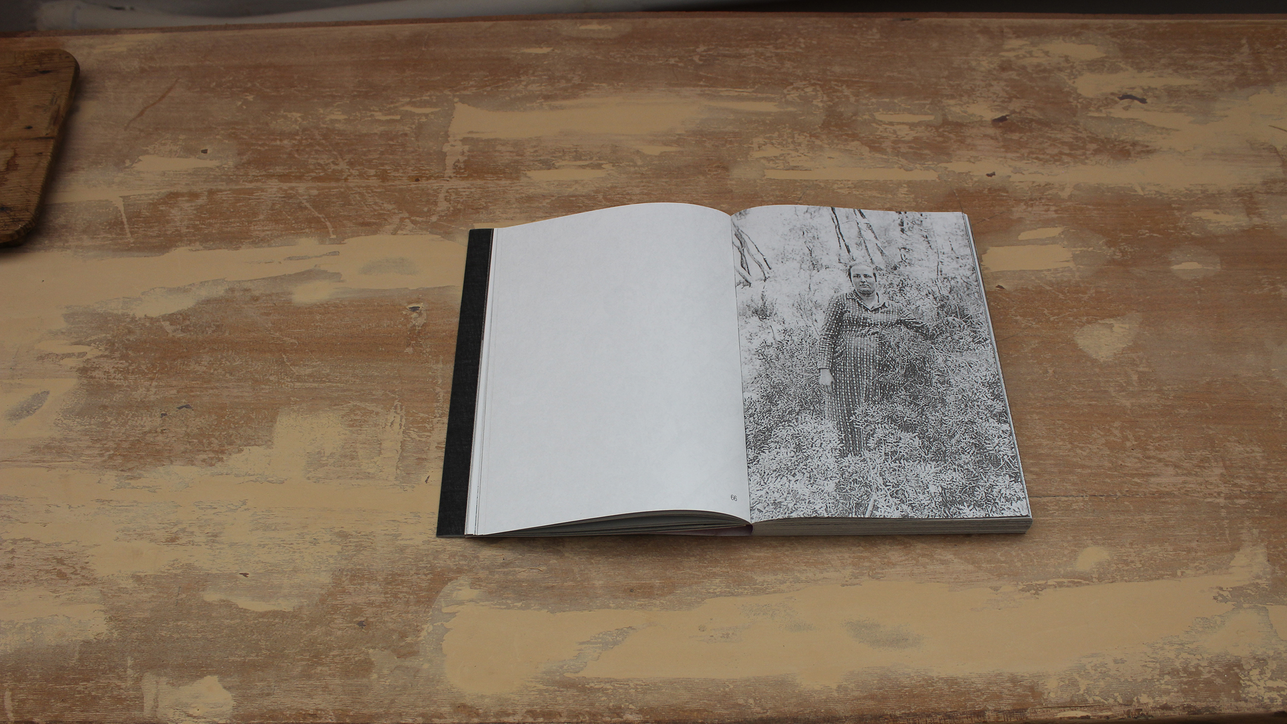 Lost Bird ~ Christos Lialios and Katerina Vazoura