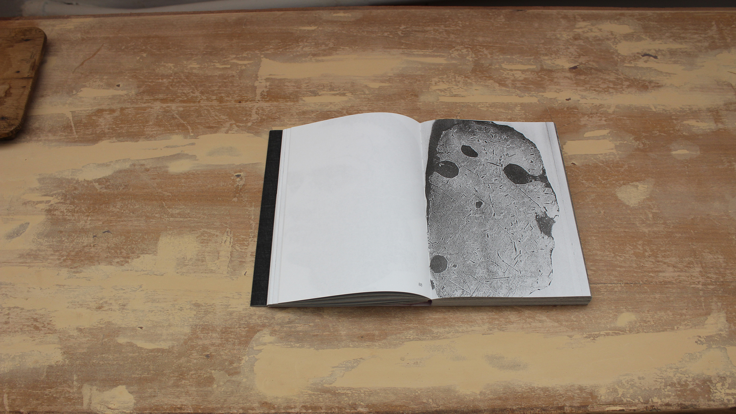 Lost Bird ~ Christos Lialios and Katerina Vazoura