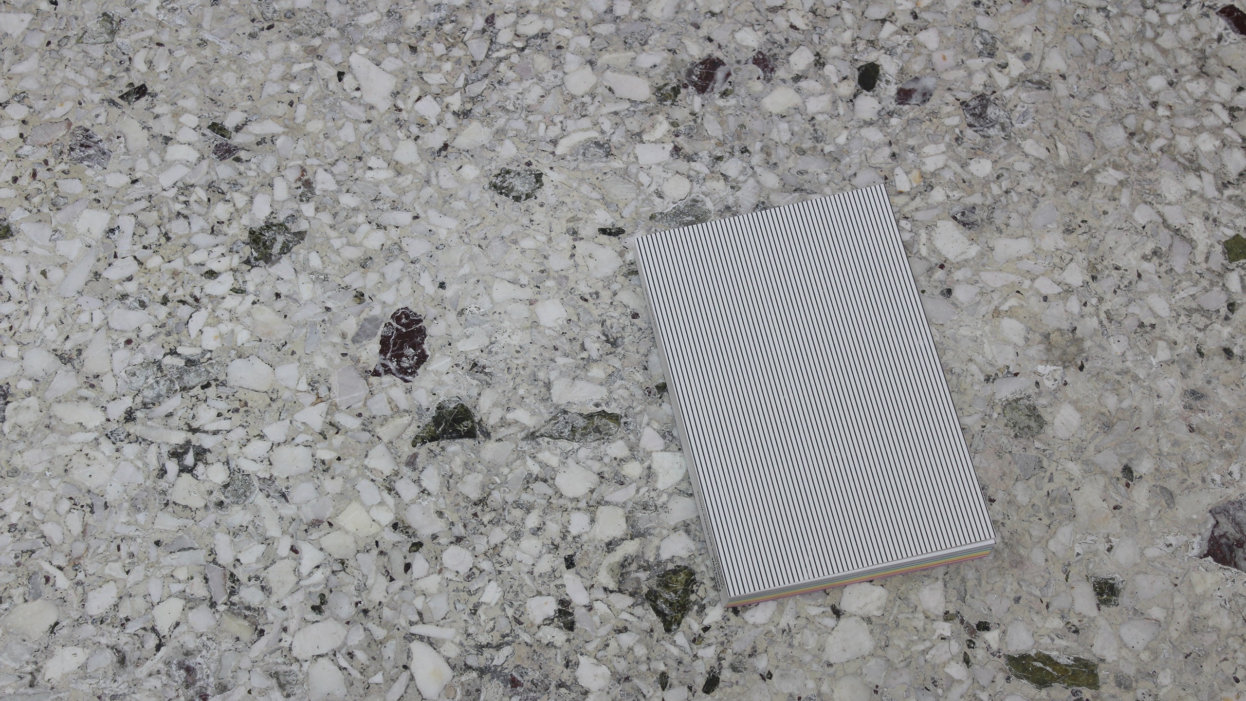 Fading Days ~ Diary 2025 ~ Christos Lialios and Katerina Vazoura