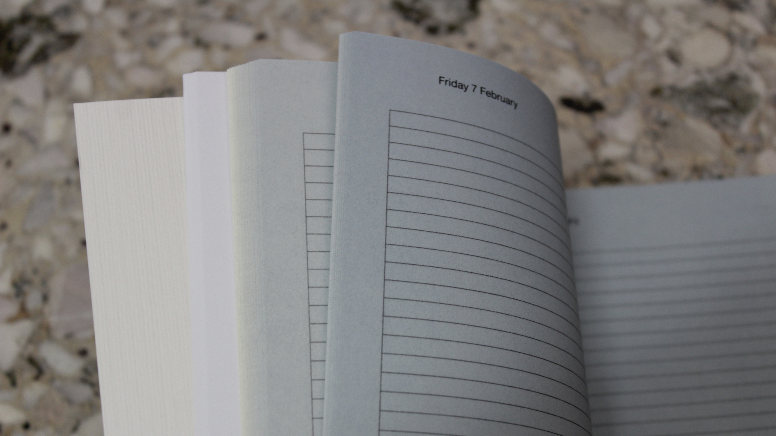 Fading Days ~ Diary 2025 ~ Christos Lialios and Katerina Vazoura