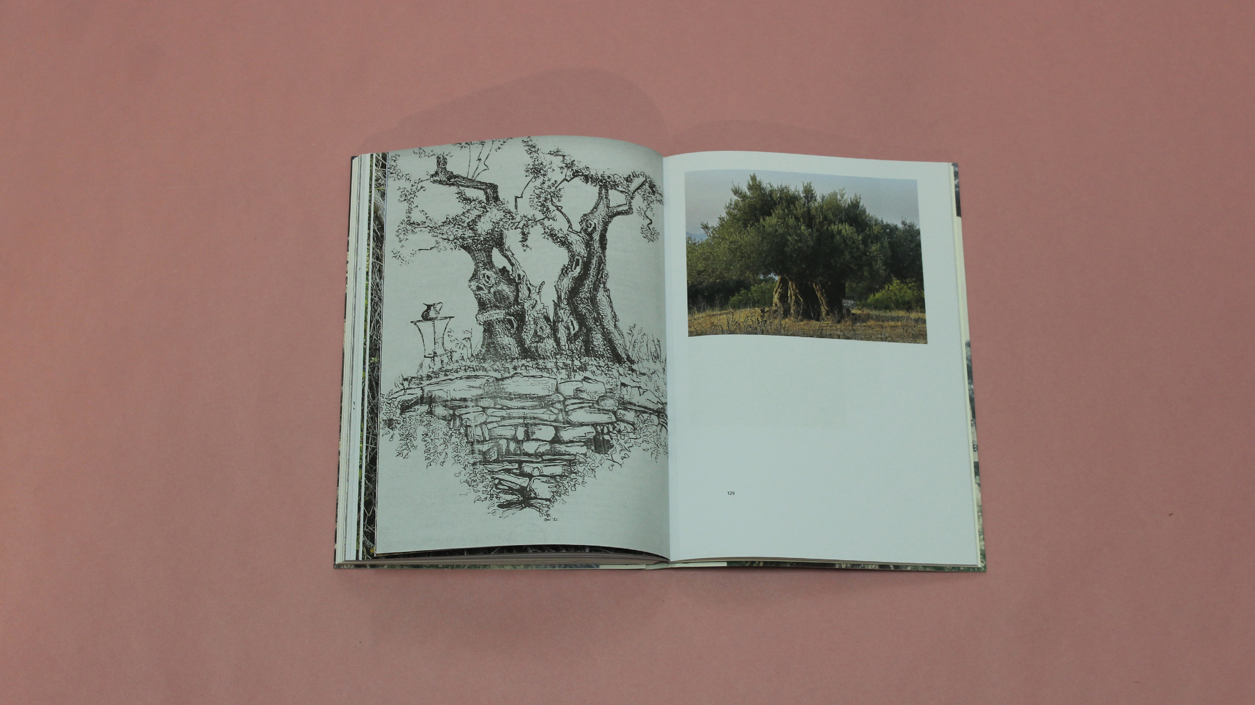 Sarakiniko ~ Eva Giannakopoulou and Panos Sklavenitis