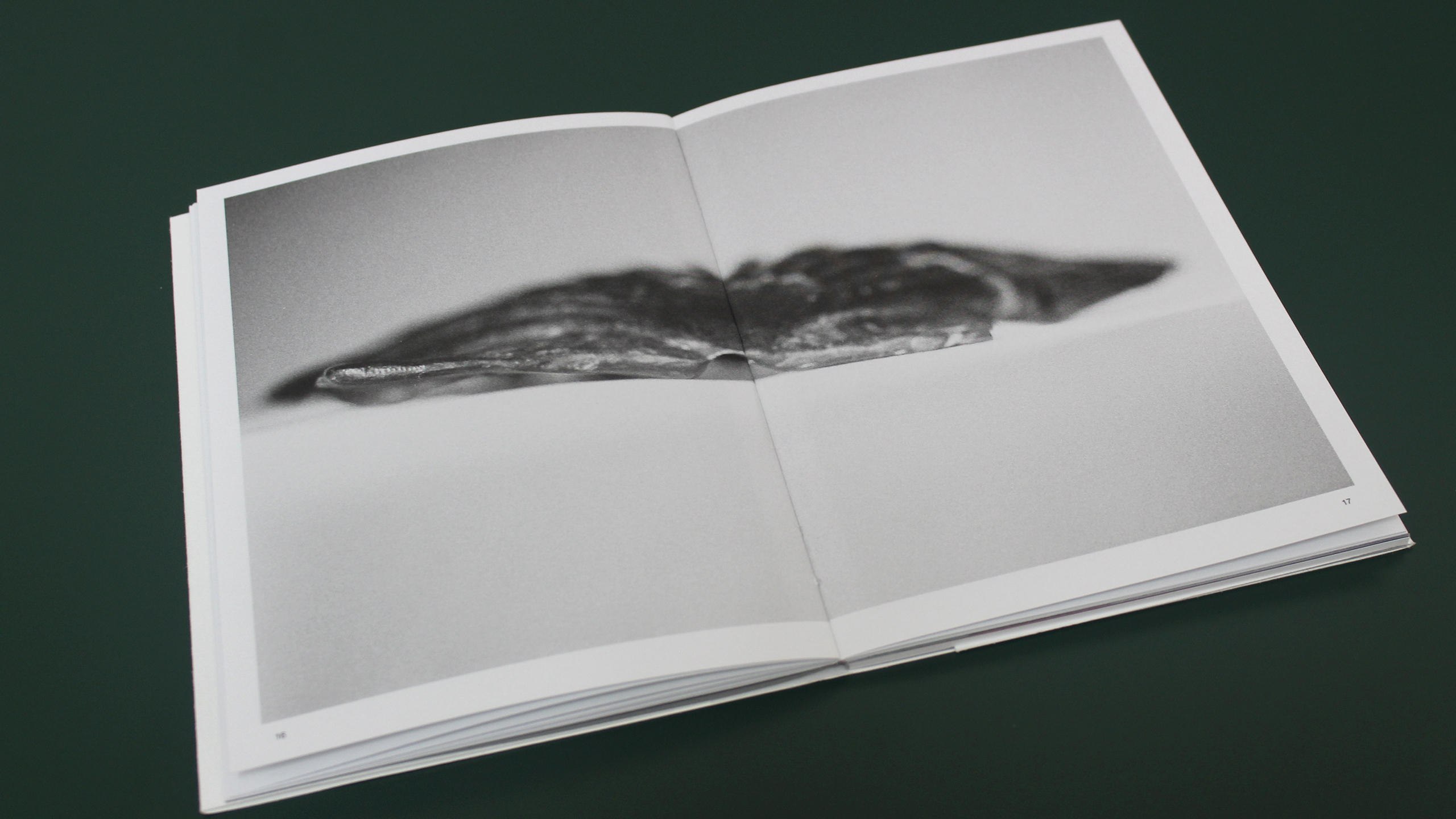 All Colours Will Agree in the Dark ~ Michael Anastassiades