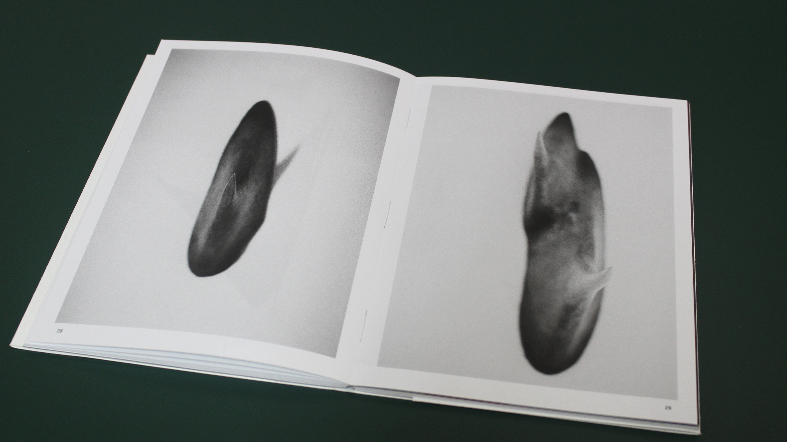 All Colours Will Agree in the Dark ~ Michael Anastassiades